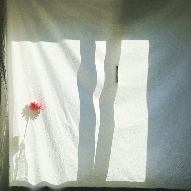 Window-Shadows